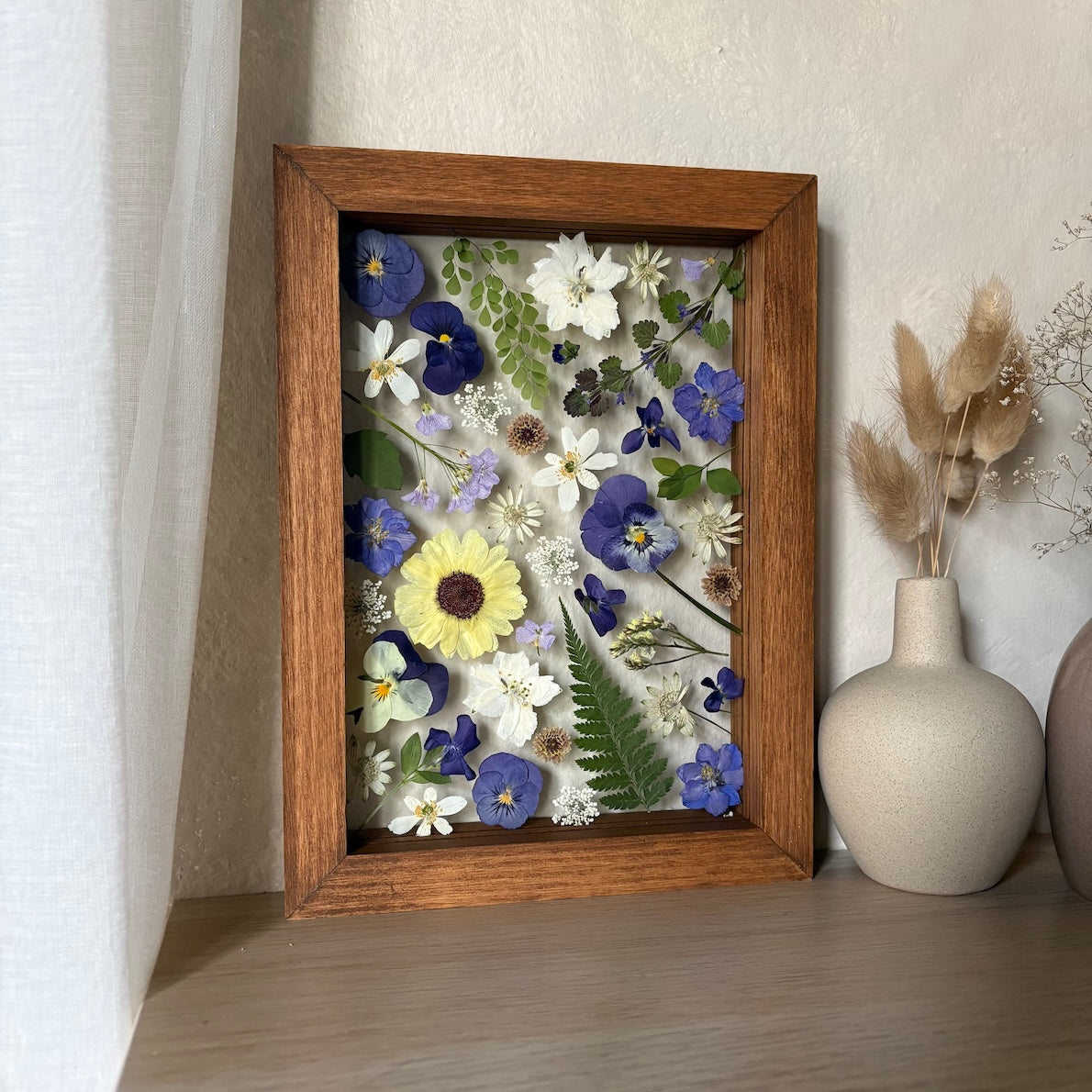 Aus den Tiefen der Meeresschönheiten