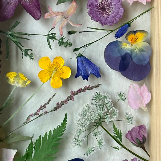 Drama geheimnisvoller Blumen