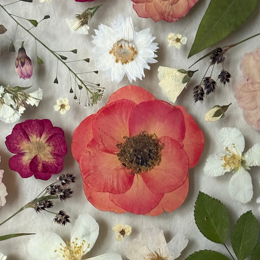 Wie eine Sonnenblumenuhr
