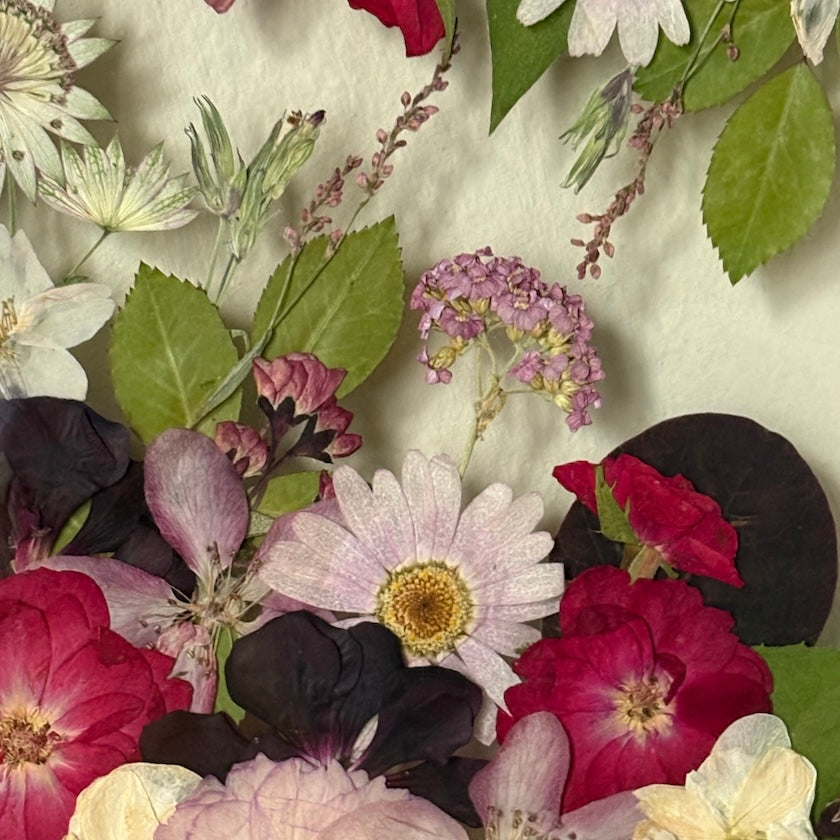 Nur am Zauberring drehen