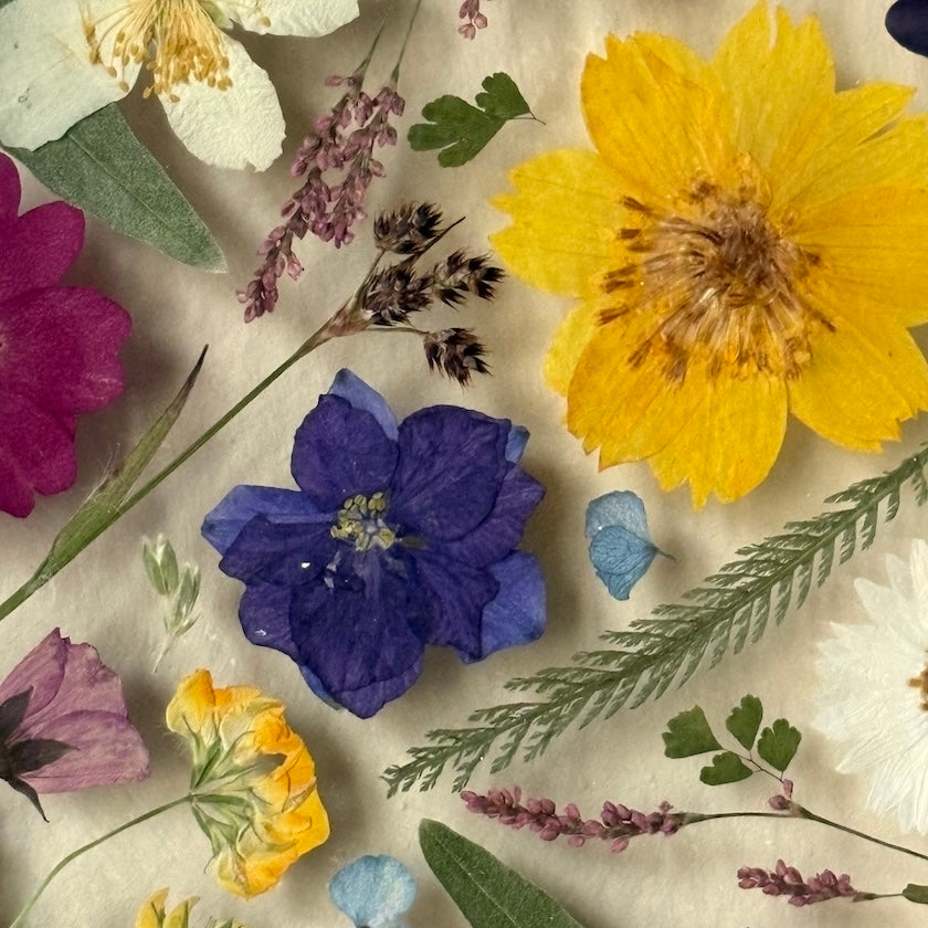 Blüten der Dämmerung