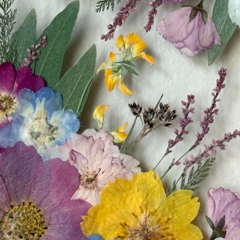 Blüten der Dämmerung