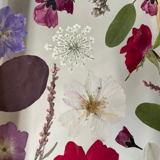 Drama geheimnisvoller Blumen
