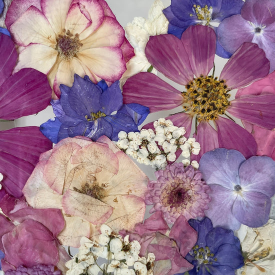 Eukalyptus-Romanze
