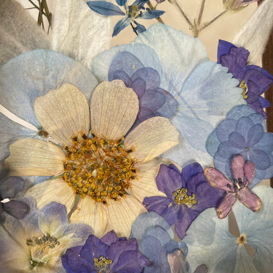 Drama geheimnisvoller Blumen