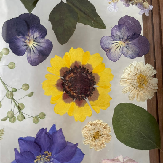 Blumige Vergänglichkeit