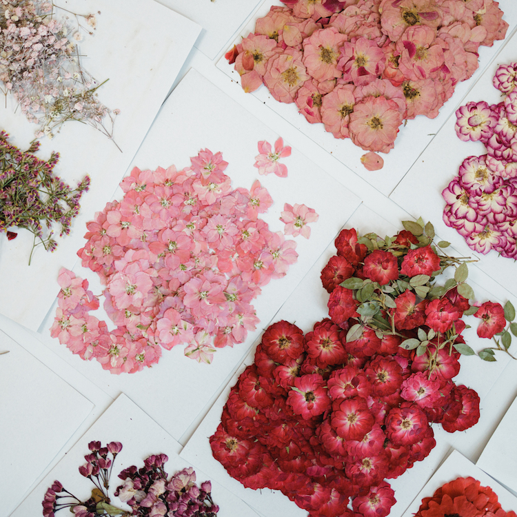 Geschenkgutschein - privater Blumen-Workshop
