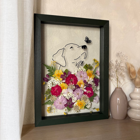 Hund im Frühlingsmantel