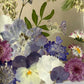 Drama geheimnisvoller Blumen