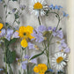 Drama geheimnisvoller Blumen
