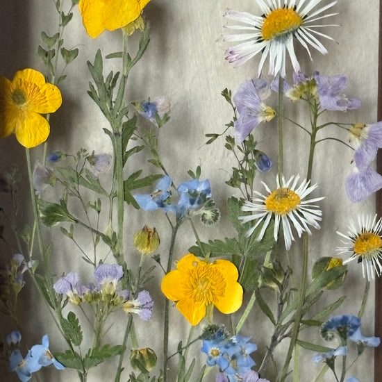 Drama geheimnisvoller Blumen