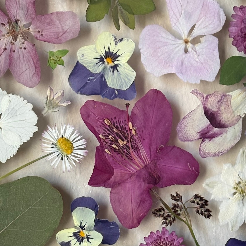 Sonett in Blüten