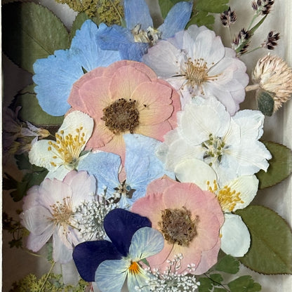 Blüte der Frühlingszärtlichkeit