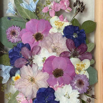 Blüten der Dämmerung