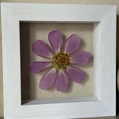 Violettes Schmuckkörbchen