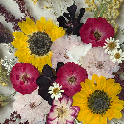 Wie eine Sonnenblumenuhr
