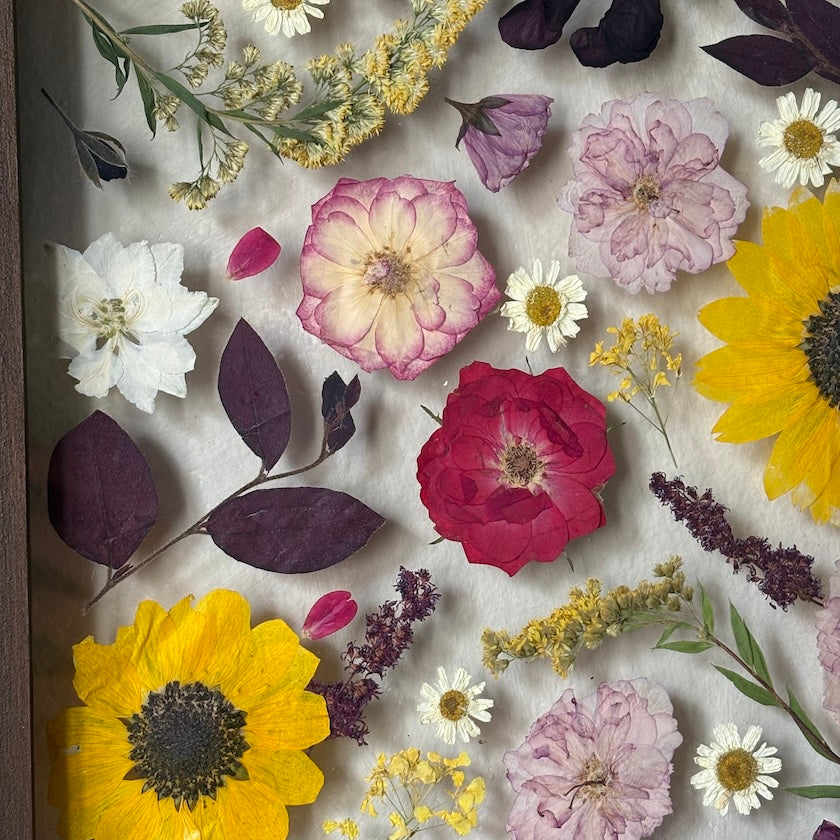 Zur Zeit der Sonnenblumen