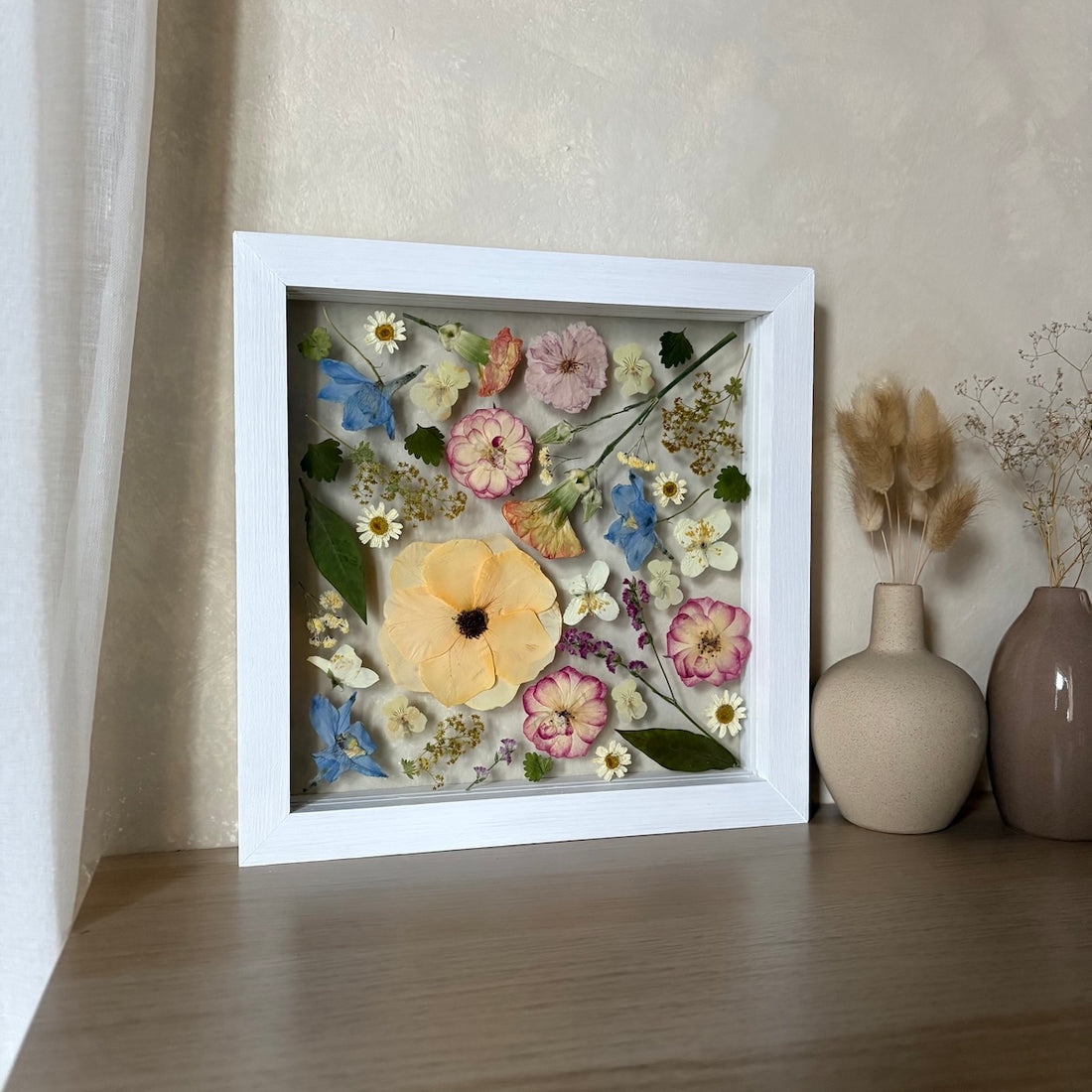 Aprikosenblüte