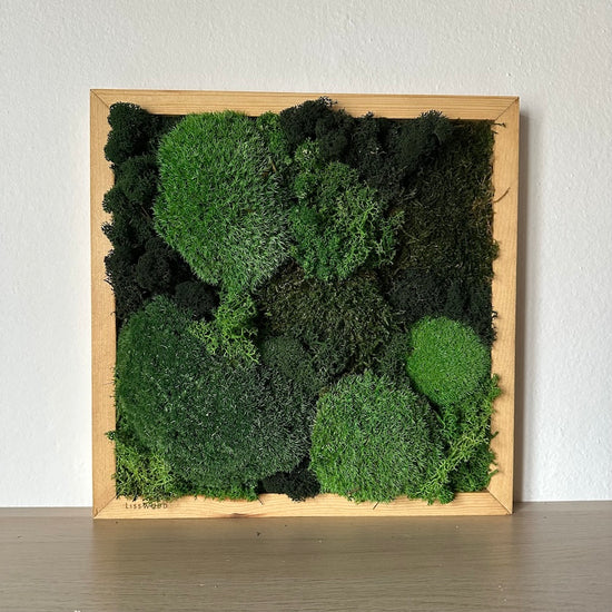 Mooskissen