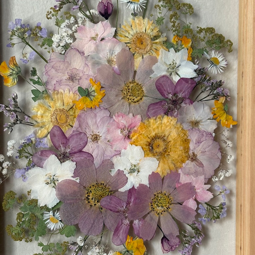Blumenpoesie in drei Farben