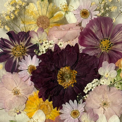 Blumenpoesie in drei Farben