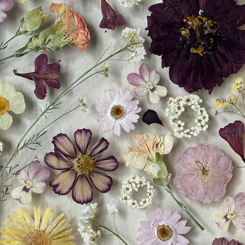 Blumenpoesie in drei Farben