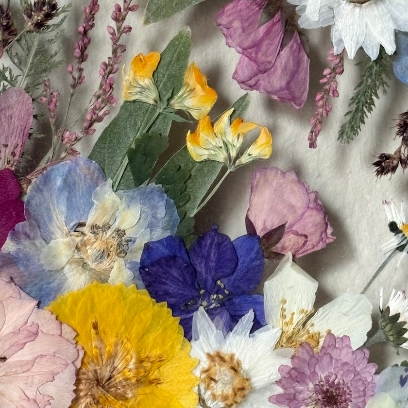 In rosa Wolken