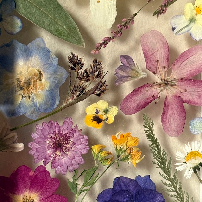 Neunerlei Blüten