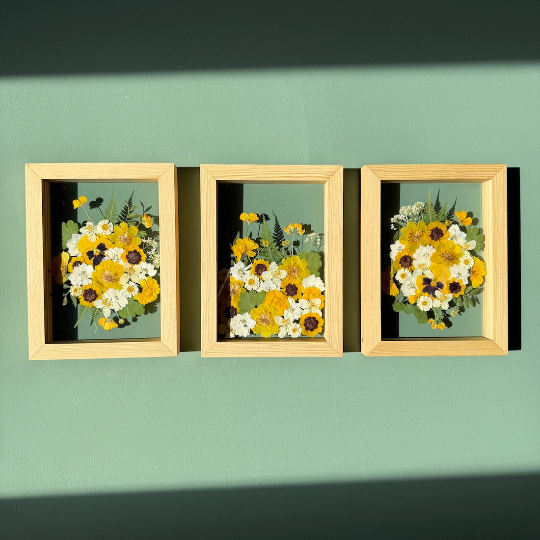 Von der Sonne beschienen - Bilderset 3x S