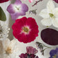 Drama geheimnisvoller Blumen