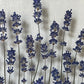 Wiesenblume