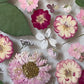 Eukalyptus-Romanze
