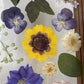 Blumige Vergänglichkeit