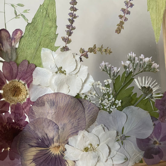 Drama geheimnisvoller Blumen