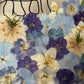 Hund im Frühlingsmantel