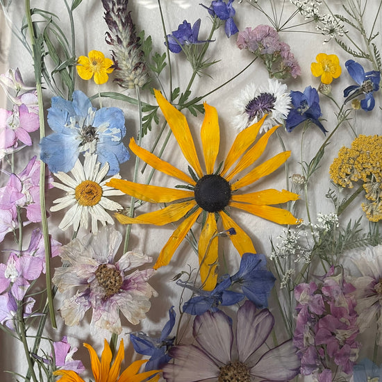 Das Geheimnis der blauen Hortensie