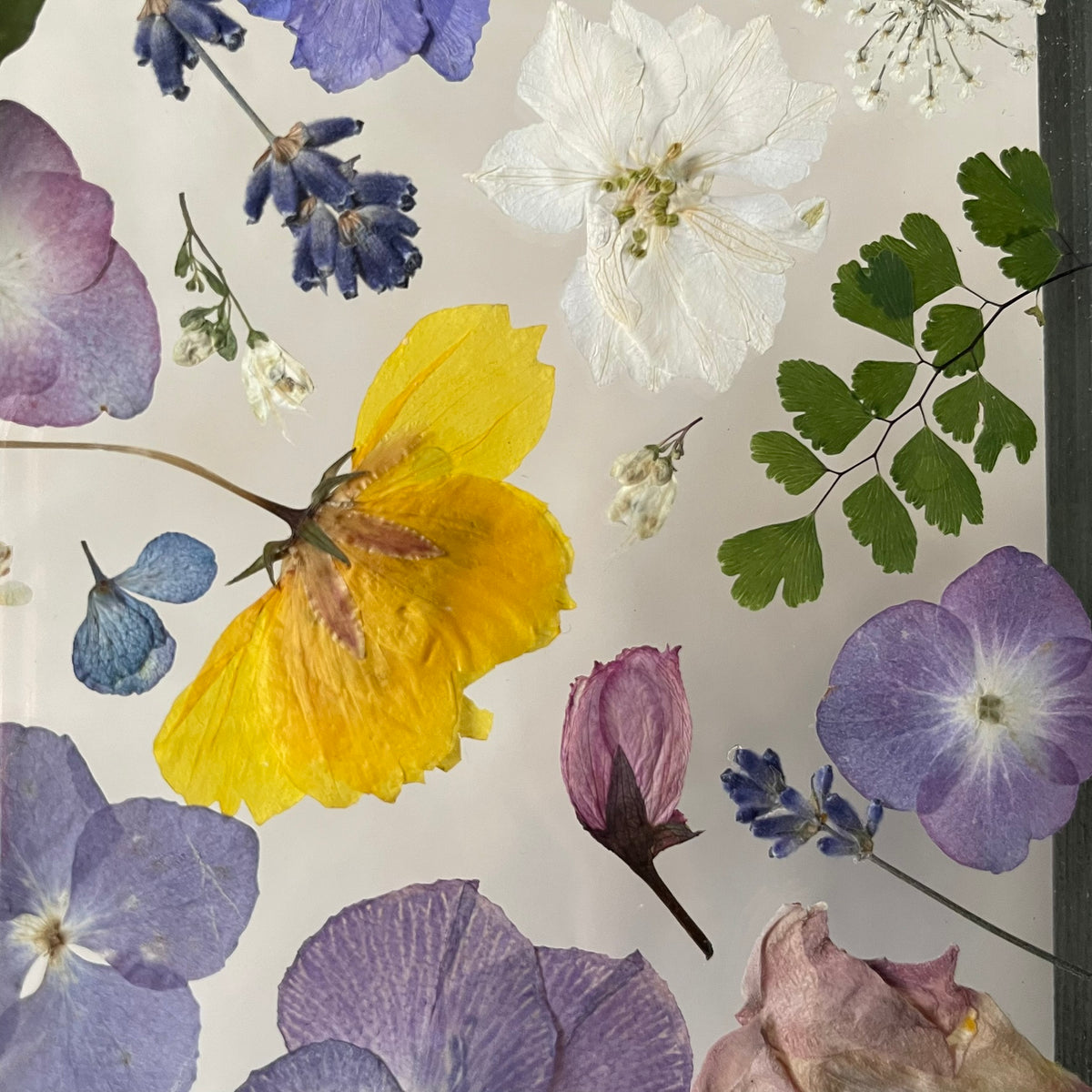 Eleganter Frühling