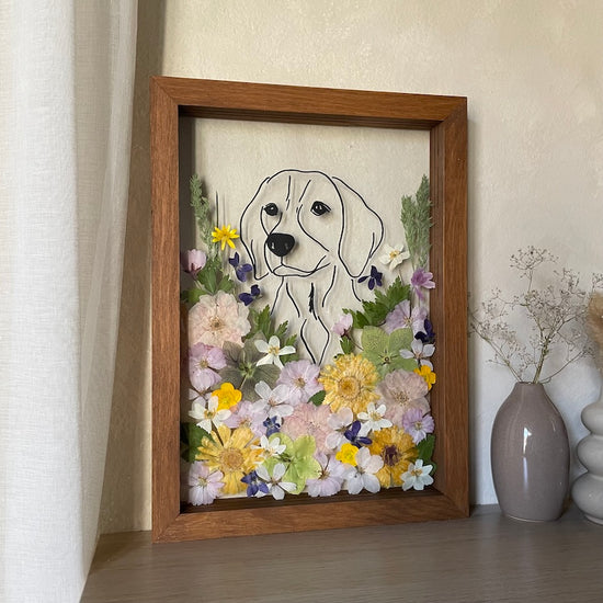 Hund im Frühlingsmantel