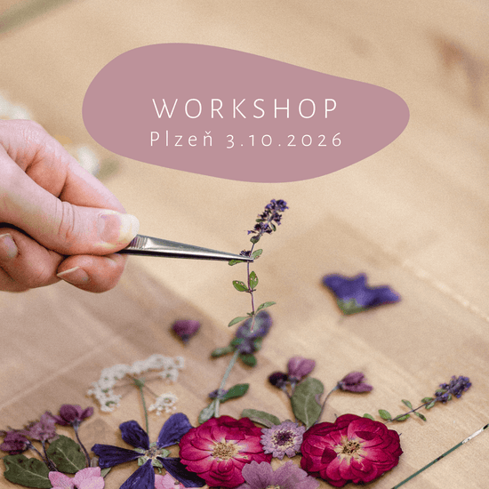 Blumenmal-Workshop - PILSEN 13.9.2025