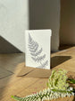 Ferns Wunsch